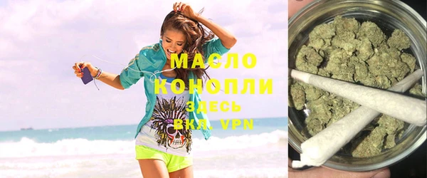 индика Сосновка
