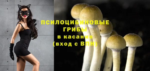мяу мяу мука Сосновоборск