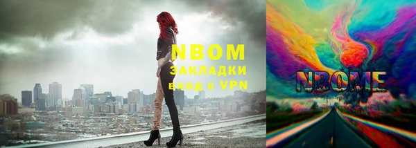 индика Сосновка