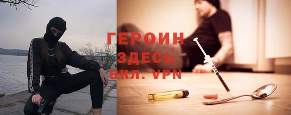 индика Сосновка