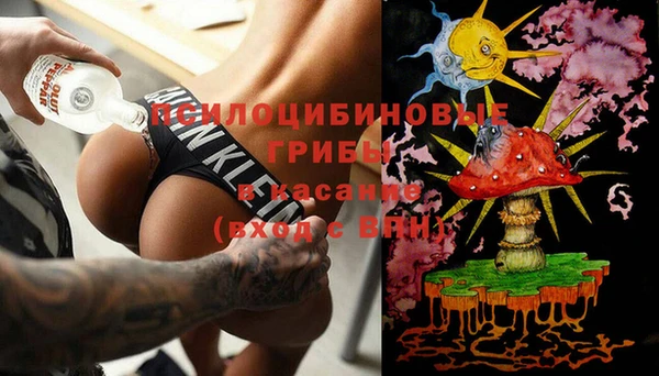 индика Сосновка