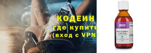 индика Сосновка