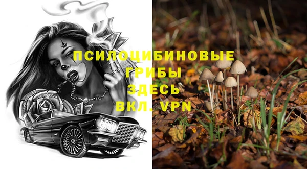 ГАЛЛЮЦИНОГЕННЫЕ ГРИБЫ Строитель
