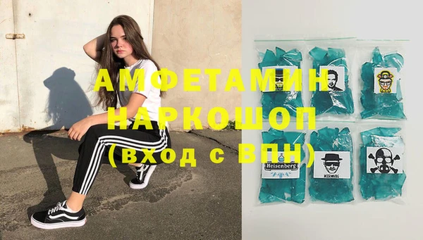 индика Сосновка