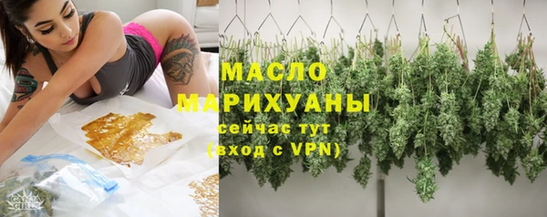 индика Сосновка