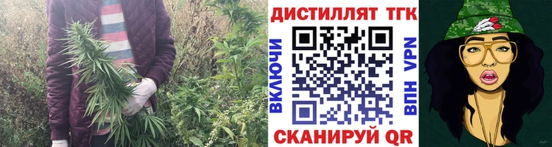 Купить где Лахденпохья ТГК концентрат