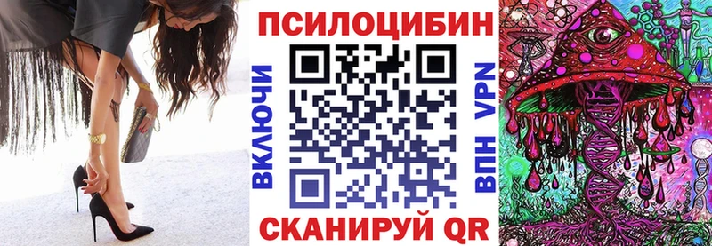 Купить  Лахденпохья  Псилоцибиновые грибы мицелий 